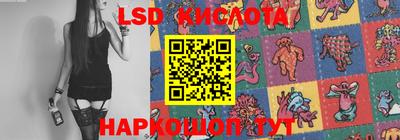 индика Гагарин