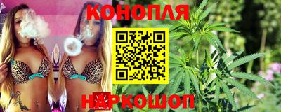 мдпв Гай
