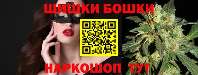индика Гагарин
