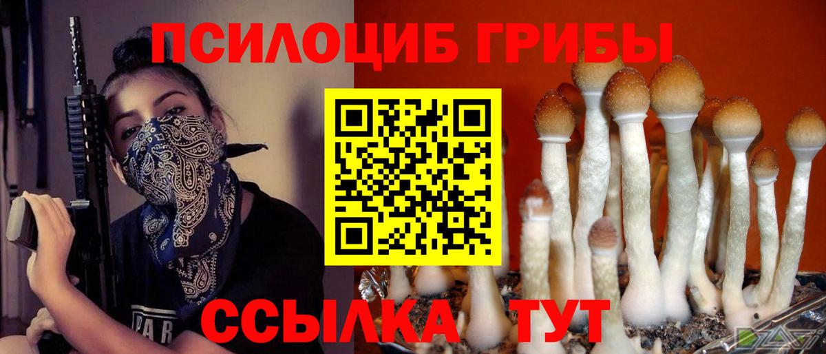 Галлюциногенные грибы Magic Shrooms  Вход с VPN  Котовск 